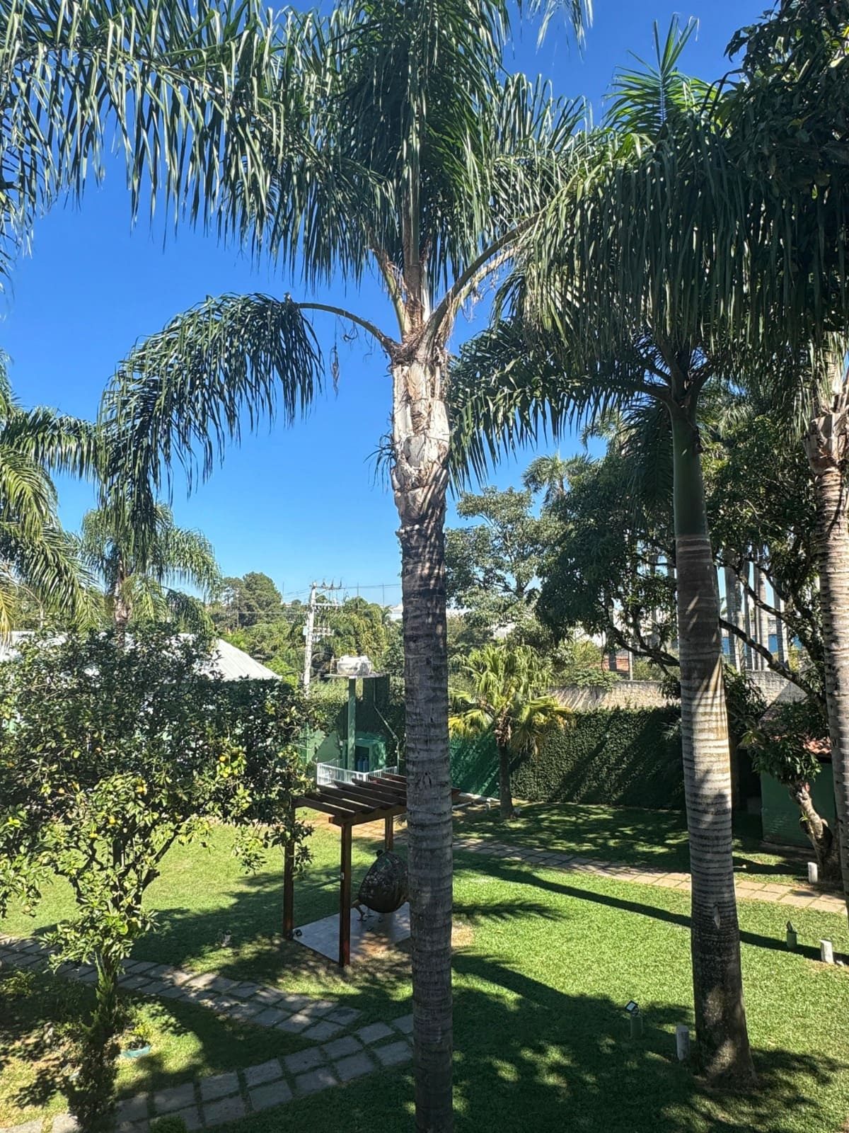 Espaço Celebrate (8)